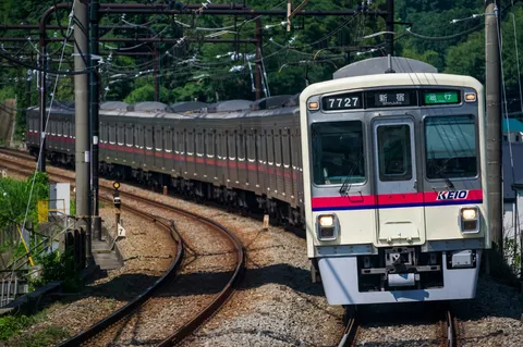 緑の中を駆け抜ける電車