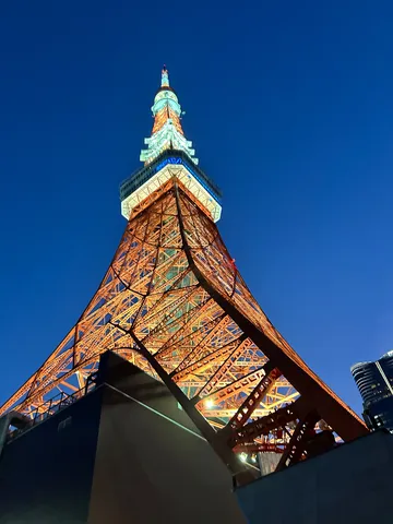 夜空にそびえるタワーの雄姿