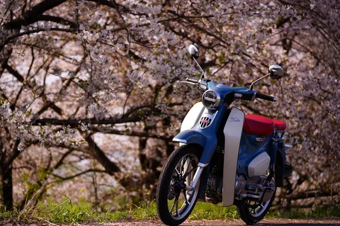 桜の下のスーパーカブ