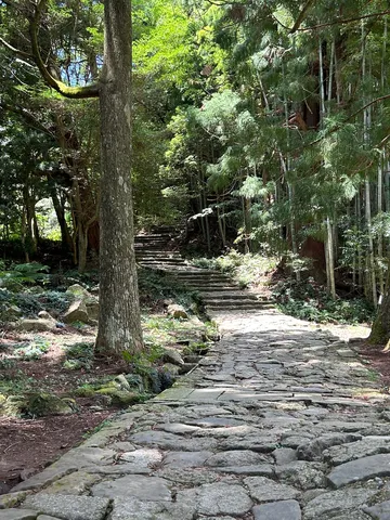 静寂へ誘う石畳の参道
