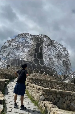 網目が動く風景
