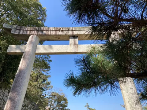 青空に映える鳥居、新緑の季節