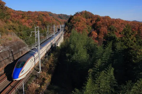 秋色と列車の対話