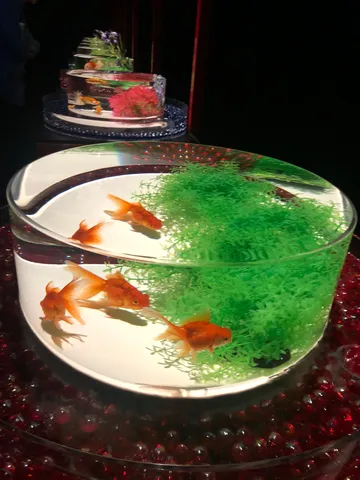 光を泳ぐ金魚の舞