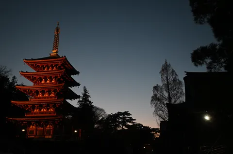 宵闇に灯る五重塔