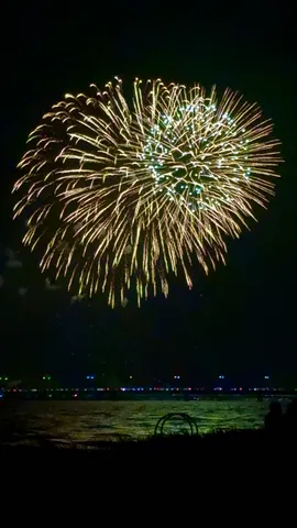 水面に映る夏の夜空の彩り
