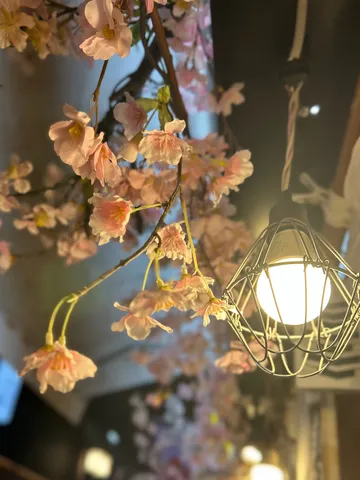 電球と桜、夢現