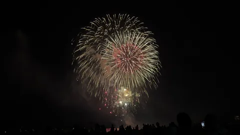 夜空を彩る華