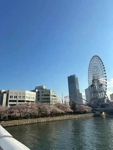 観覧車と桜が彩る港の春