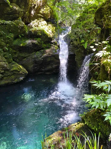 森の奥、光きらめく水辺