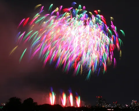 夜空に咲く、鮮やかな光の花束