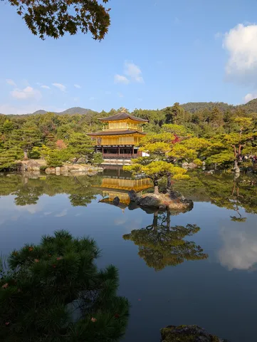 金色の輝き、水面に映る美。