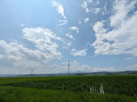青空と緑のコントラスト