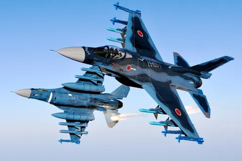 蒼天を舞う双機