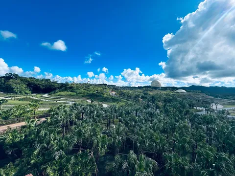 青空と緑のコントラスト