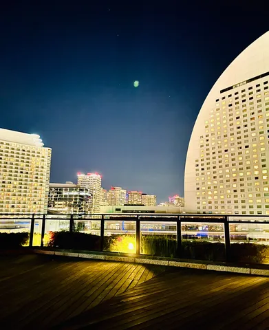 都会のオアシスとUFO？
