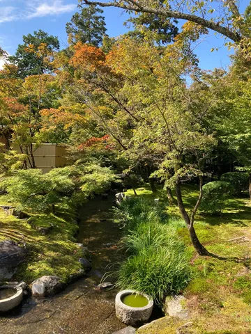 秋色に染まる静寂の庭園