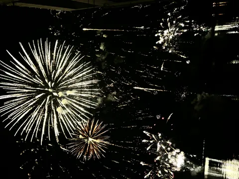 夜空に咲き乱れる光の華