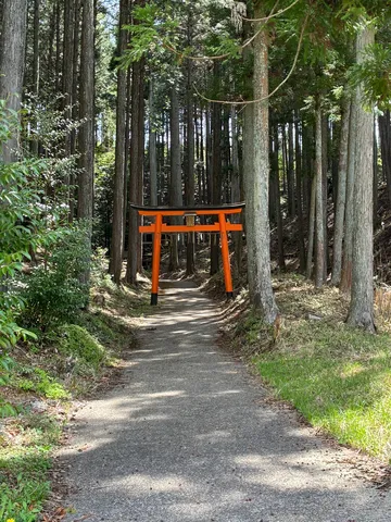 森に佇む鳥居の神秘