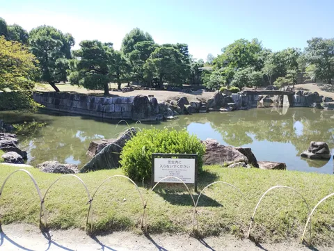 緑が映える静寂の日本庭園