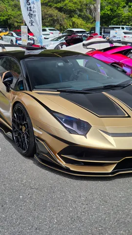 黄金に輝くスーパースポーツ