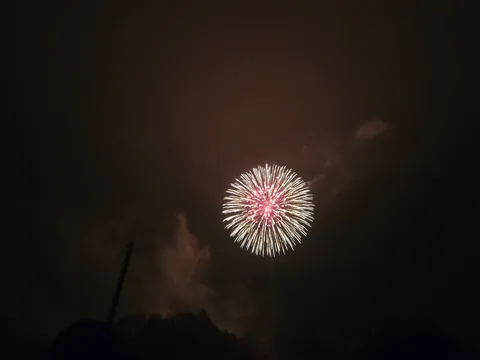 夜空を彩る、一輪の花火