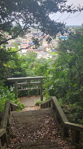 森と街並みのコントラスト