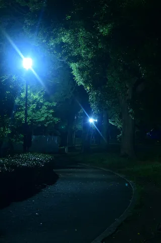 真夜中の公園、灯りが照らす道