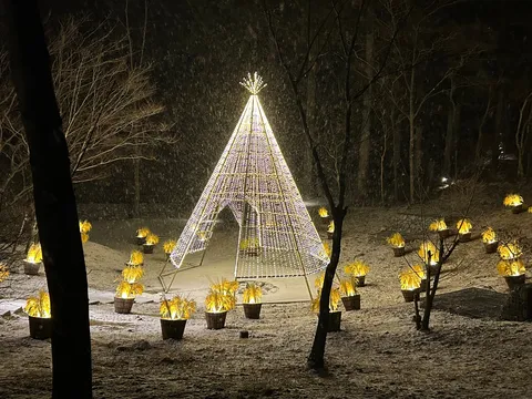 雪と光が織りなす冬の夢