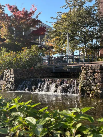 水辺の石垣と木漏れ日