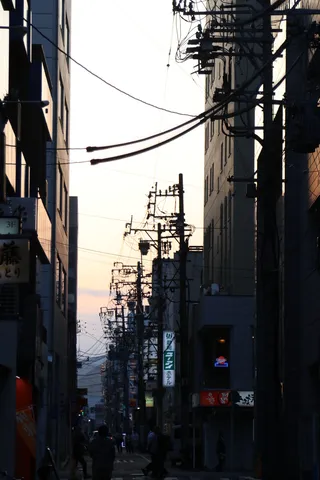 夕暮れ時の電線迷路