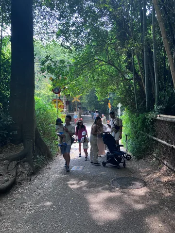 竹林と木漏れ日の散歩道