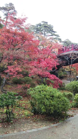 紅葉と赤い橋の静かな風景