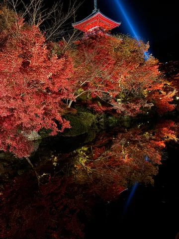 紅葉と塔の夜景の余韻