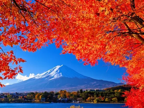 紅葉の窓から望む富士