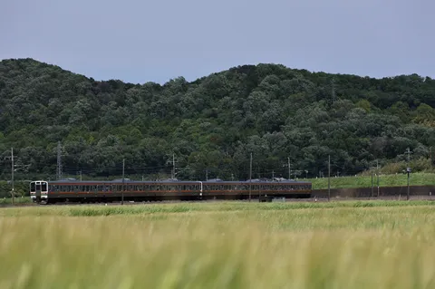 雨上がりの鉄道風景