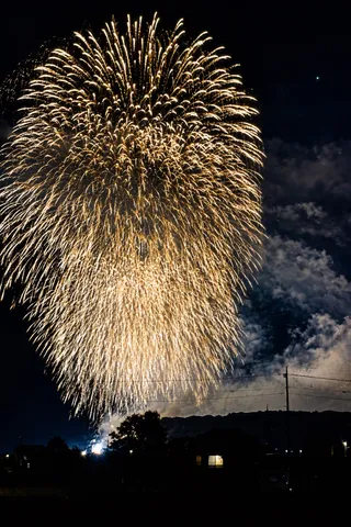 夜空を染める金の雨