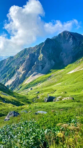 緑萌ゆる山の稜線