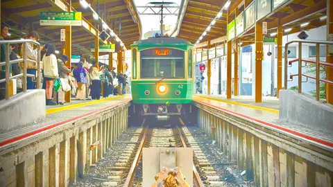 光を纏う、緑の停車場