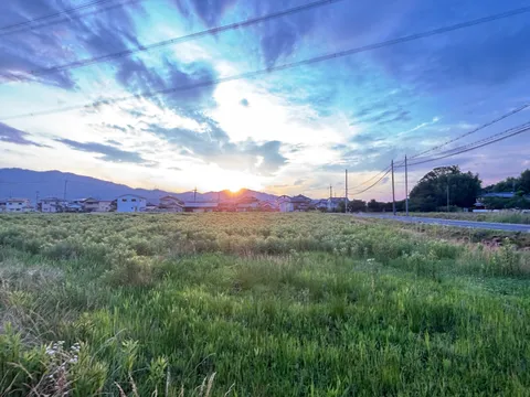 夕暮れの畑に沈む光