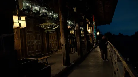 灯りに誘われる夜の小道