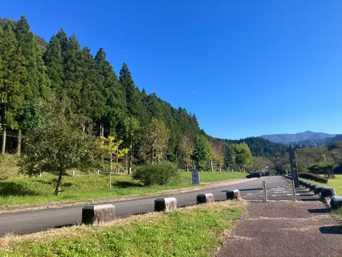 青空と緑の静かな道