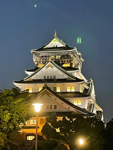 闇夜に浮かぶ白鷺城