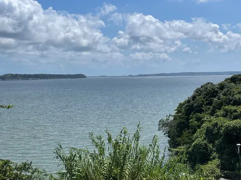 緑と水面、青い空のコントラスト