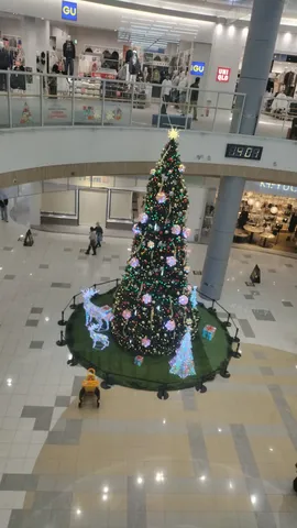 クリスマスの輝き、デパートの特等席