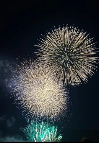 夜空を彩る花火の競演