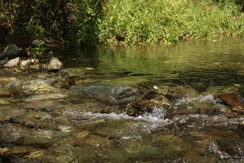 せせらぎの音色、岩肌を撫でる水