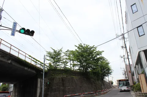信号機とバスの、日常の一コマ