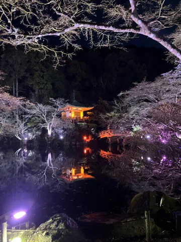 幻想的な夜の庭園