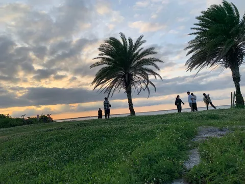 夕暮れの海辺とヤシの影
